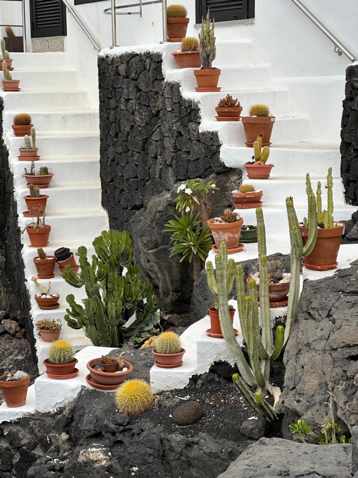 Sea View With Direct Access To Boulevard Puerto del Carmen (Lanzarote) Exterior foto